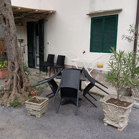 La Casina Fra Gli Olivi Villa Massarosa Ngoại thất bức ảnh