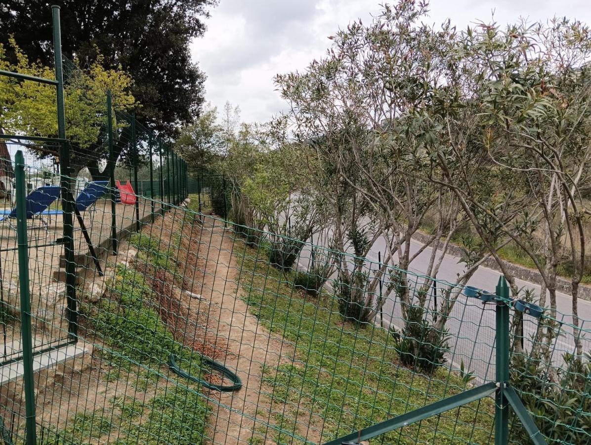 La Casina Fra Gli Olivi Villa Massarosa Ngoại thất bức ảnh
